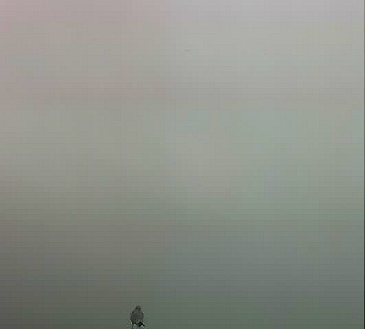 [foggy[6].jpg]