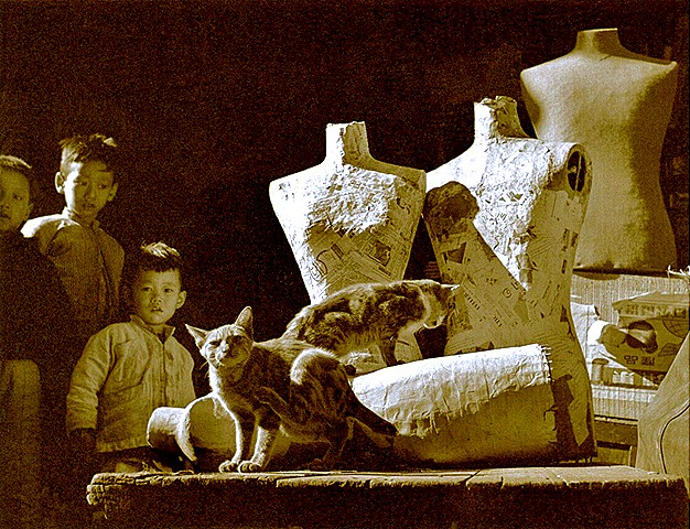 [Fan Ho_Kids and Cats, 1961[7].jpg]