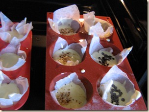 IMG_1649 IMG_1649