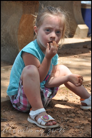 DSC_2265 DSC_2265
