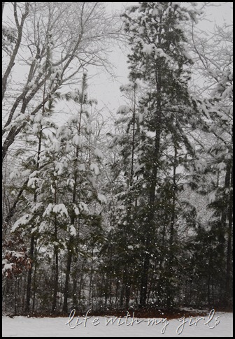 DSC_9055 DSC_9055