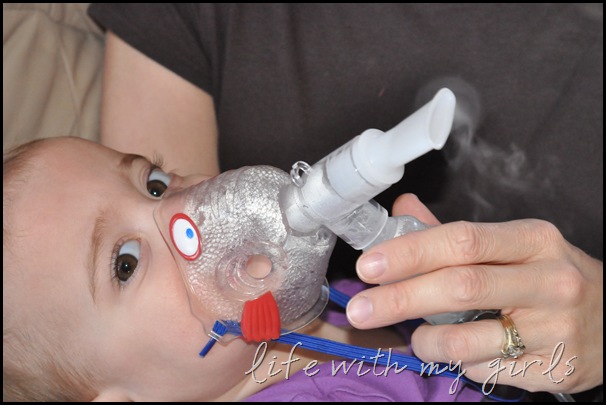 DSC_0310 DSC_0310