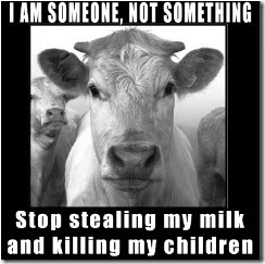 Cowpicstopstealing Cowpicstopstealing