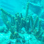 P1010196.JPG