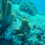 P1010207.JPG