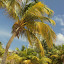DSC02842.JPG