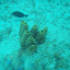 P1010215.JPG