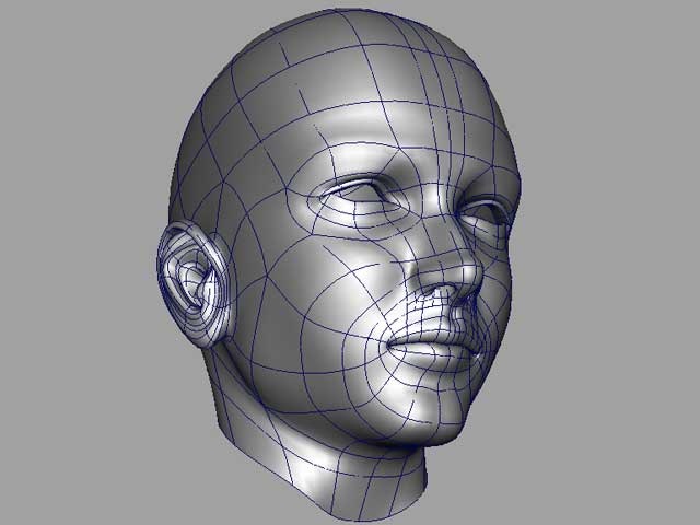 [head12[2].jpg]