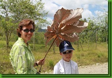 IMG_2263_thumb1 IMG_2263_thumb1