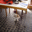 DSC07159.JPG