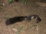 PICT0018.jpg
