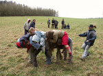 PICT0059.jpg