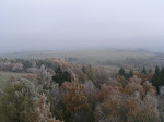 PICT0244.jpg