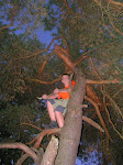 PICT0122.jpg