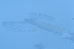 PICT0067.jpg