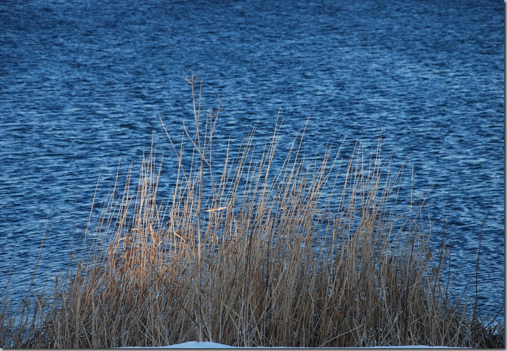 DSC_9539