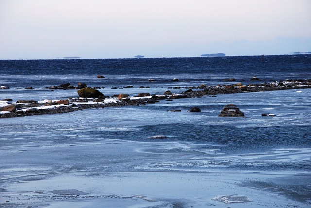 [DSC_0290c[5].jpg]