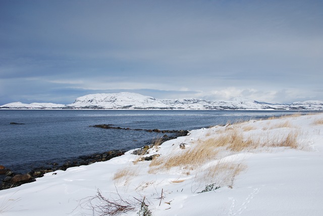 [DSC_0691c[5].jpg]