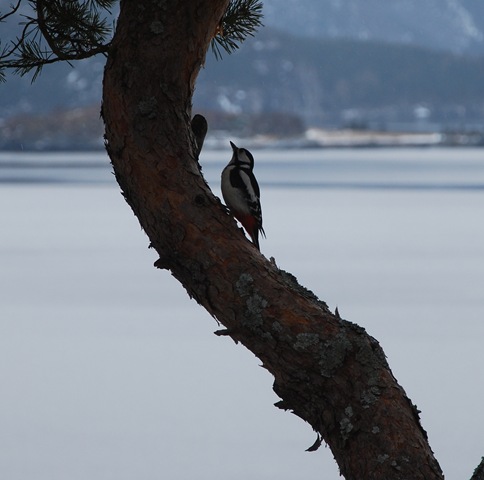 [DSC_0884c[6].jpg]