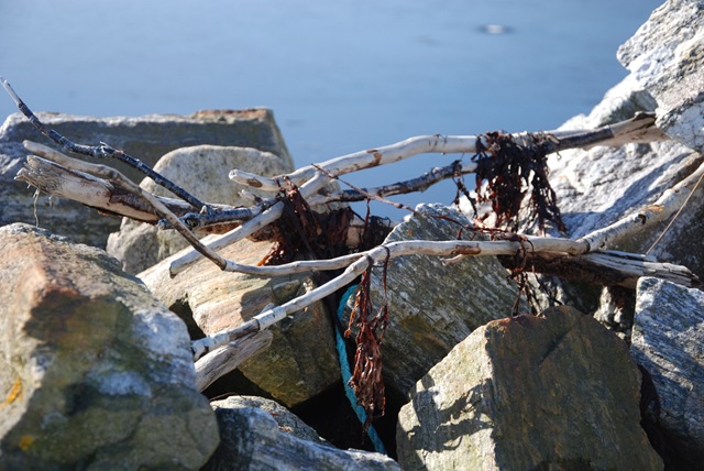[DSC_0831[5].jpg]