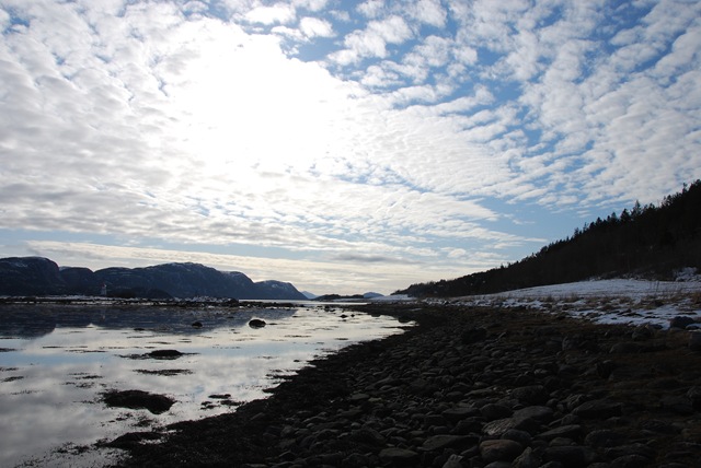 [DSC_0865[5].jpg]