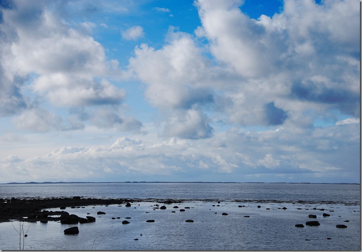DSC_1476c