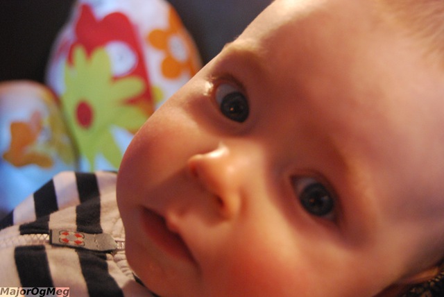 [DSC_0645[9].jpg]