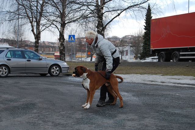 [DSC_3234[4].jpg]