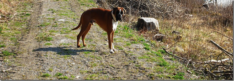 DSC_4947_c