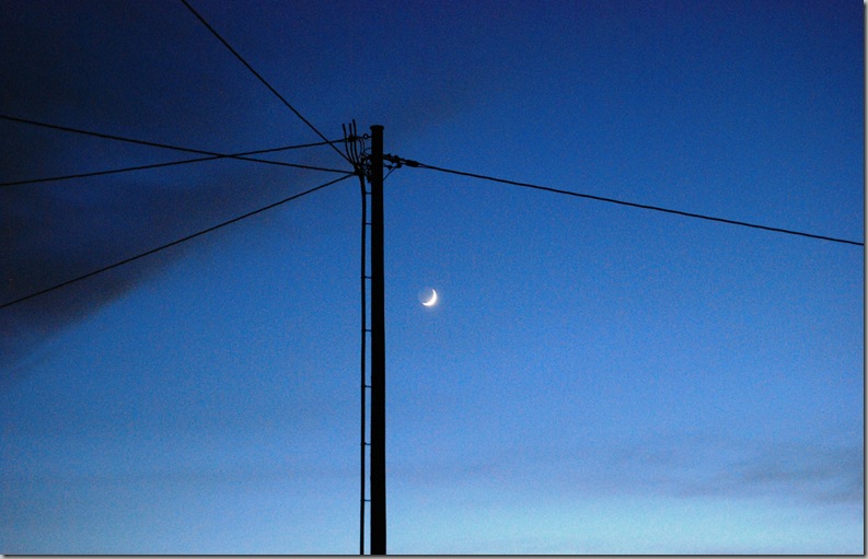 DSC_5082_c