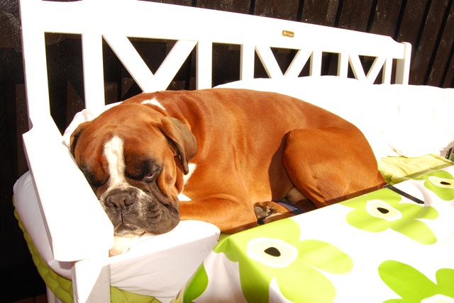 [DSC_5793[5].jpg]