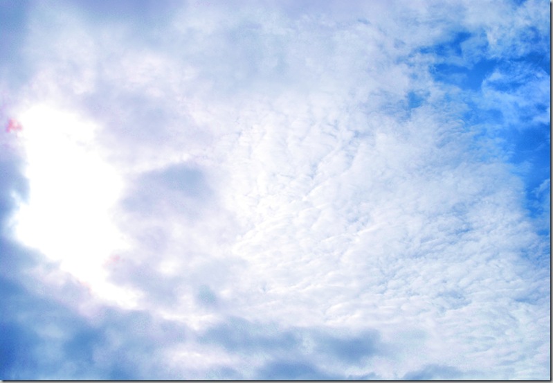DSC_5597_fhdr