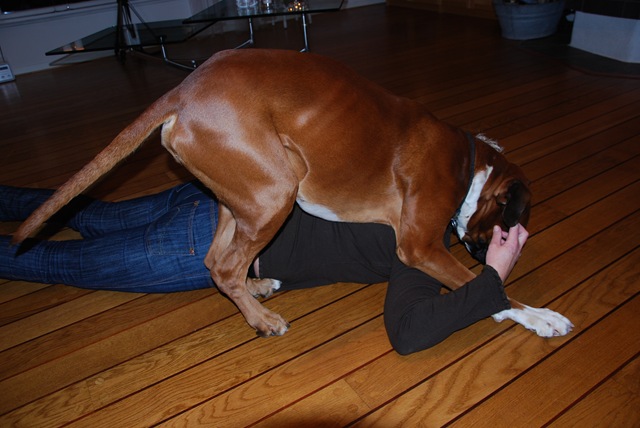 [DSC_8245[4].jpg]