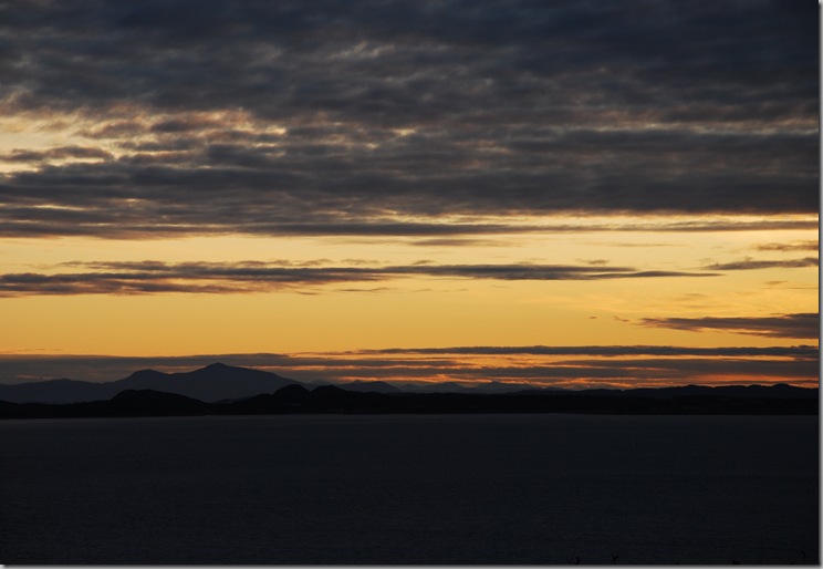 DSC_8261 DSC_8261