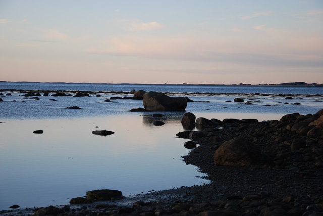 [DSC_8274[4].jpg]