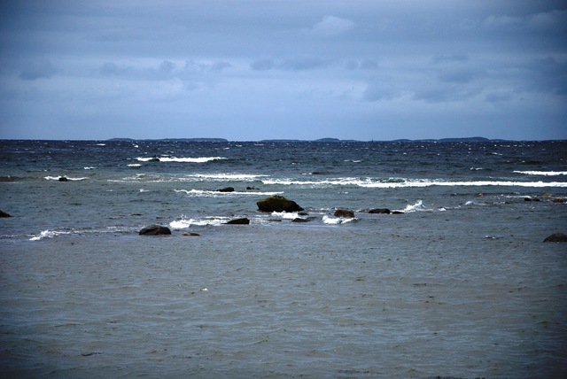 [DSC_2273c[6].jpg]