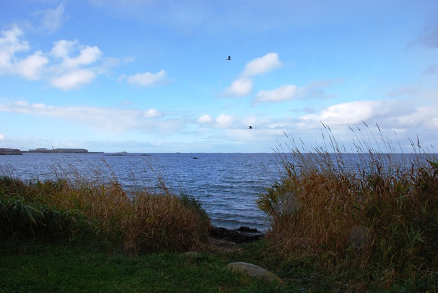 [DSC_2858c[4].jpg]