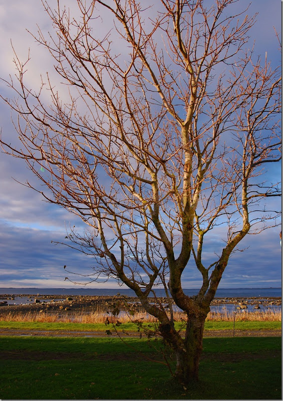 DSC_3013c