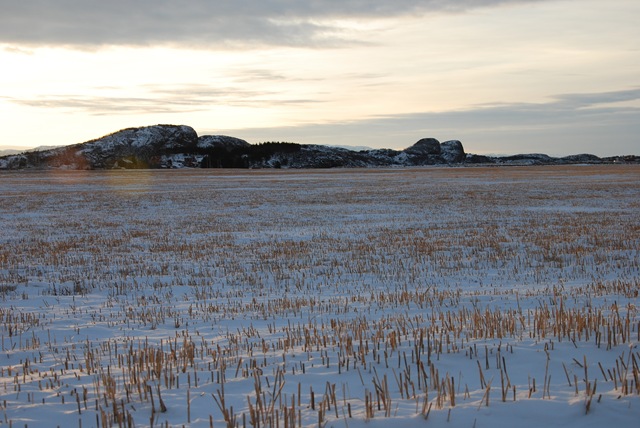 [DSC_3514[5].jpg]