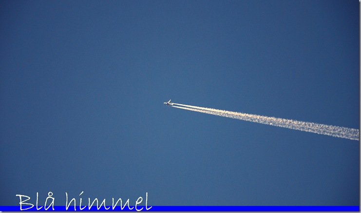 DSC_3715cc