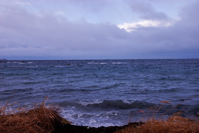 [DSC_3964c[5].jpg]