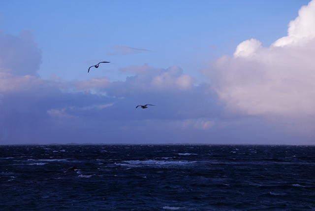 [DSC_3979c[5].jpg]