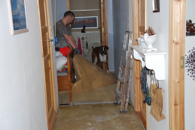 [DSC_4099[5].jpg]
