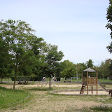 DSC01229.JPG