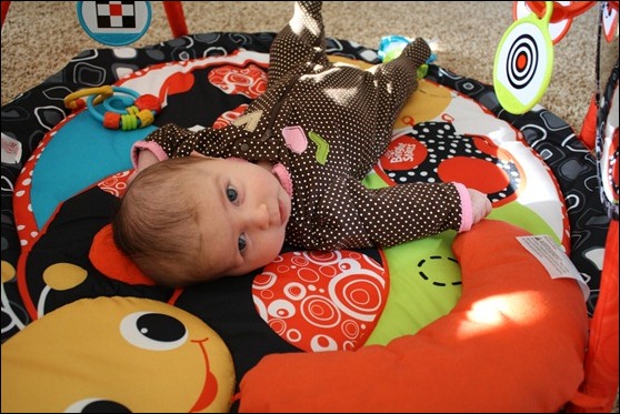IMG_0659 IMG_0659