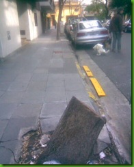 tocon tocon