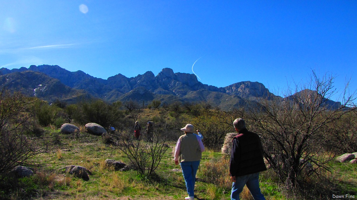 [bird walk catalina state park_022[6].jpg]