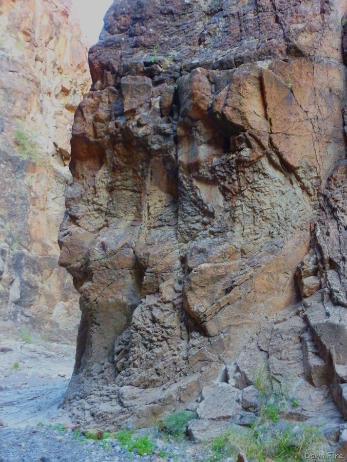 [Big Bend Ranch State park_139[7].jpg]