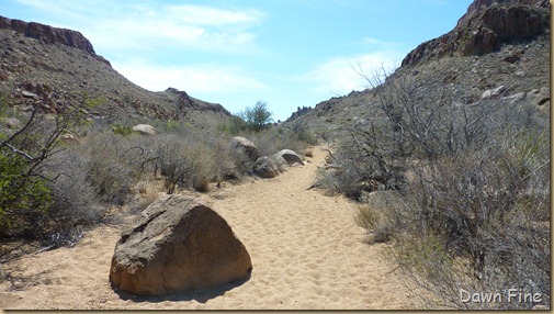 Grapevine to Balanced rock_011