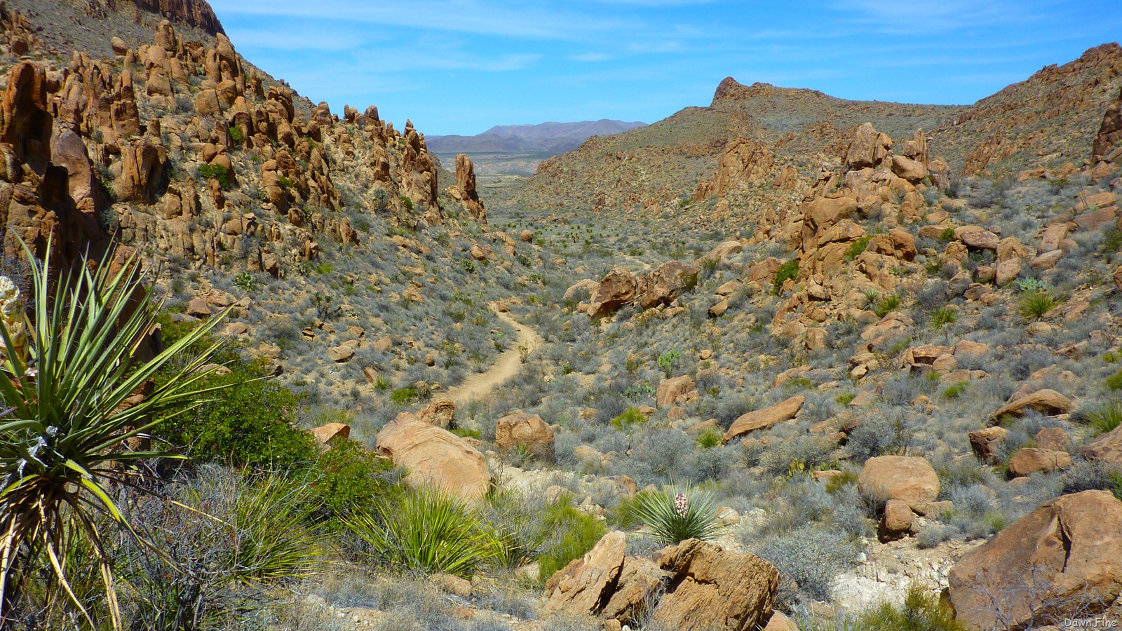 [Grapevine to Balanced rock_033[3].jpg]